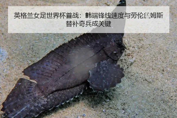ying-ge-lan-nv-zu-shi-jie-bei-shou-zhan-han-duan-feng-xian-su-du-yu-lao-lun-zhan-mu-si-ti-bu-qi-bing-cheng-guan-jian-3-710.jpg