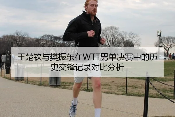 王楚钦与樊振东在WTT男单决赛中的历史交锋记录对比分析