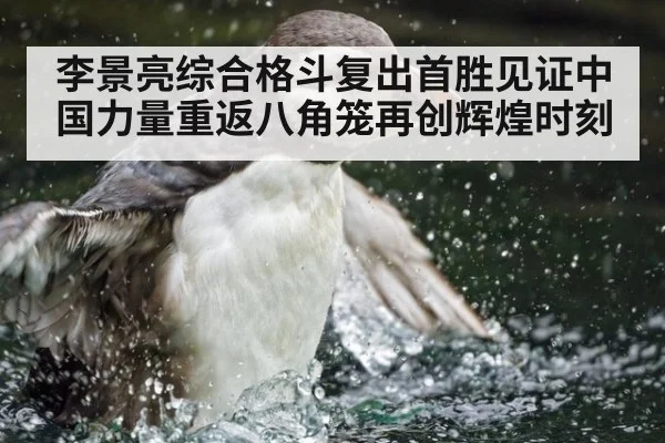 李景亮综合格斗复出首胜见证中国力量重返八角笼再创辉煌时刻