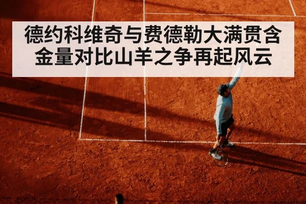 德约科维奇与费德勒大满贯含金量对比山羊之争再起风云
